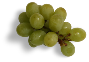 bunch-of-grapes-2