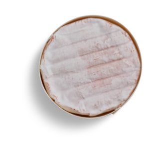 oven-chesse